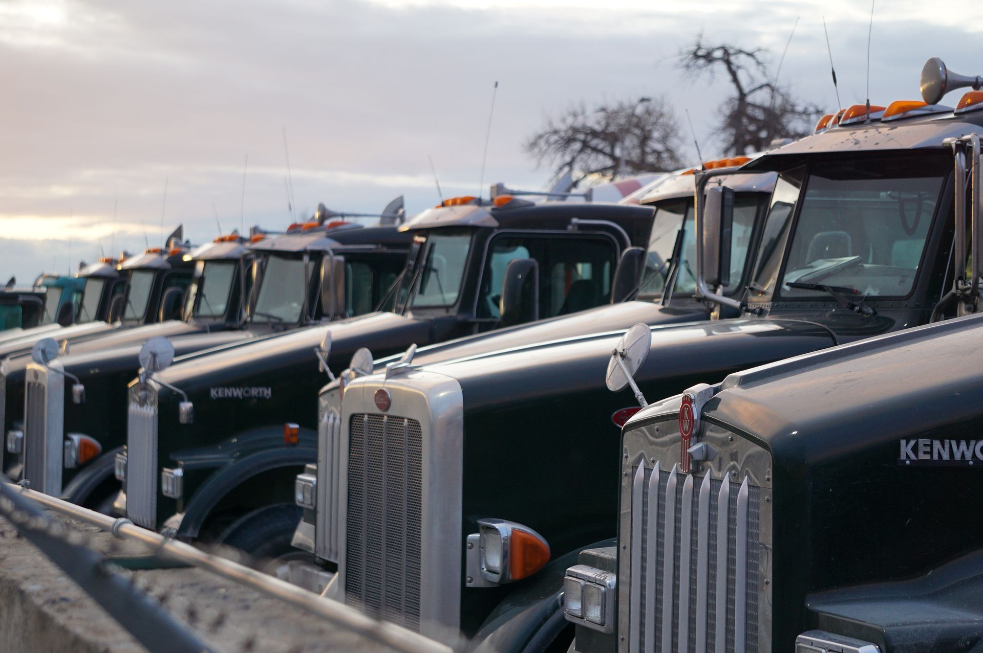 Classic Kenworth semi trucks lined up